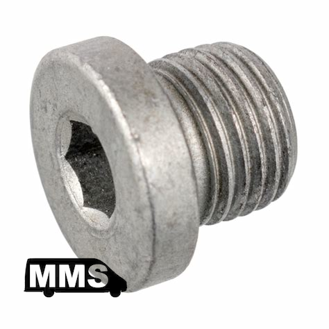 T1N Torque Converter Drain Plug or Screw, One (2001-06 Vans)